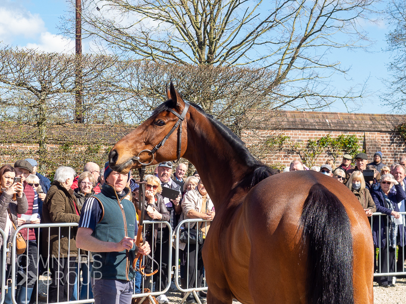 Paul Nicholls Visit - 3 April 2022